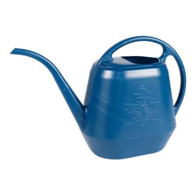 Novelty Indoor Watering Can (1/2 Gallon